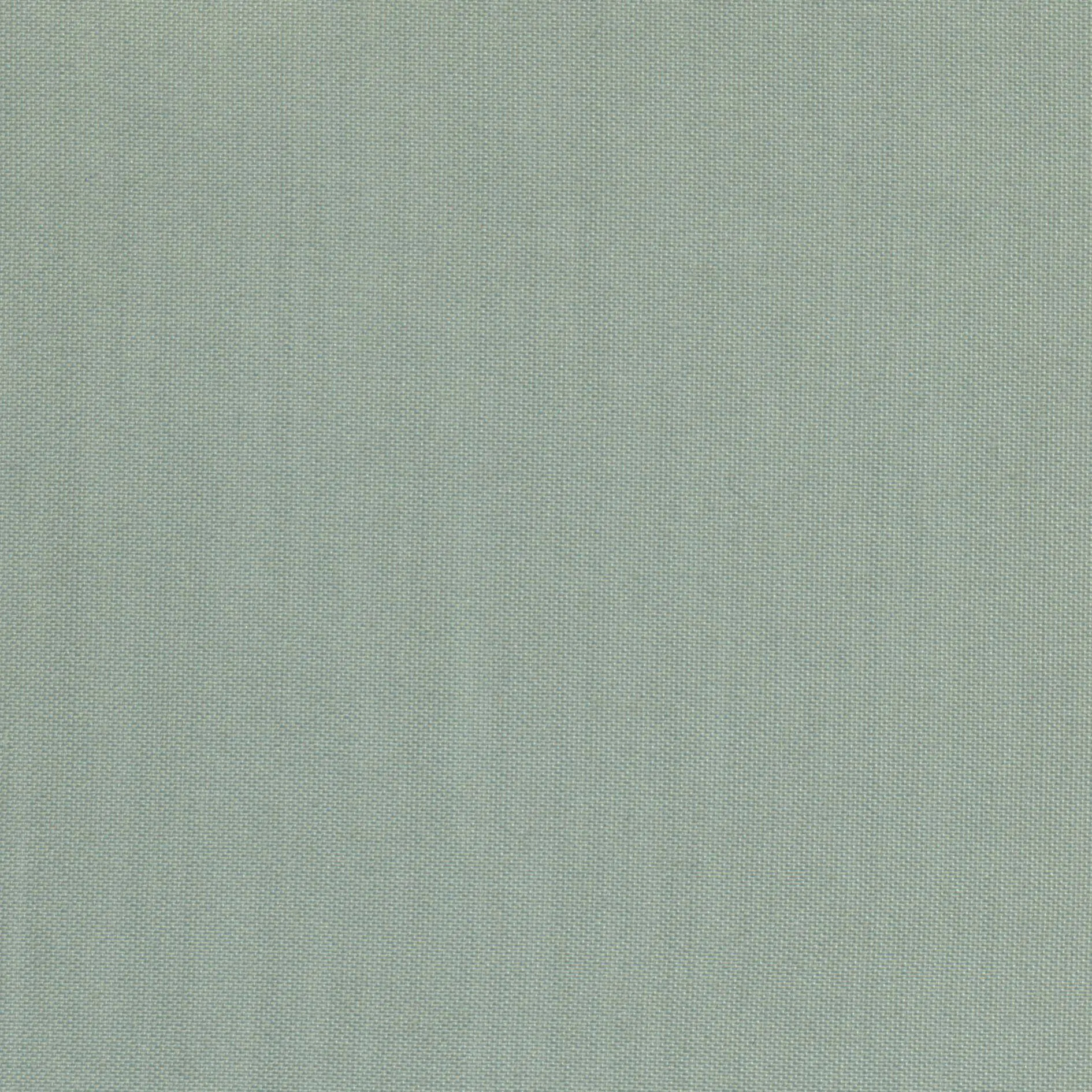 Celadon 23 | Ilaria
