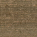 Ginger 23 | Indian Silk