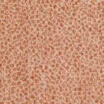 Med-9 | Jacquard Woven (Yarn Dyed)
