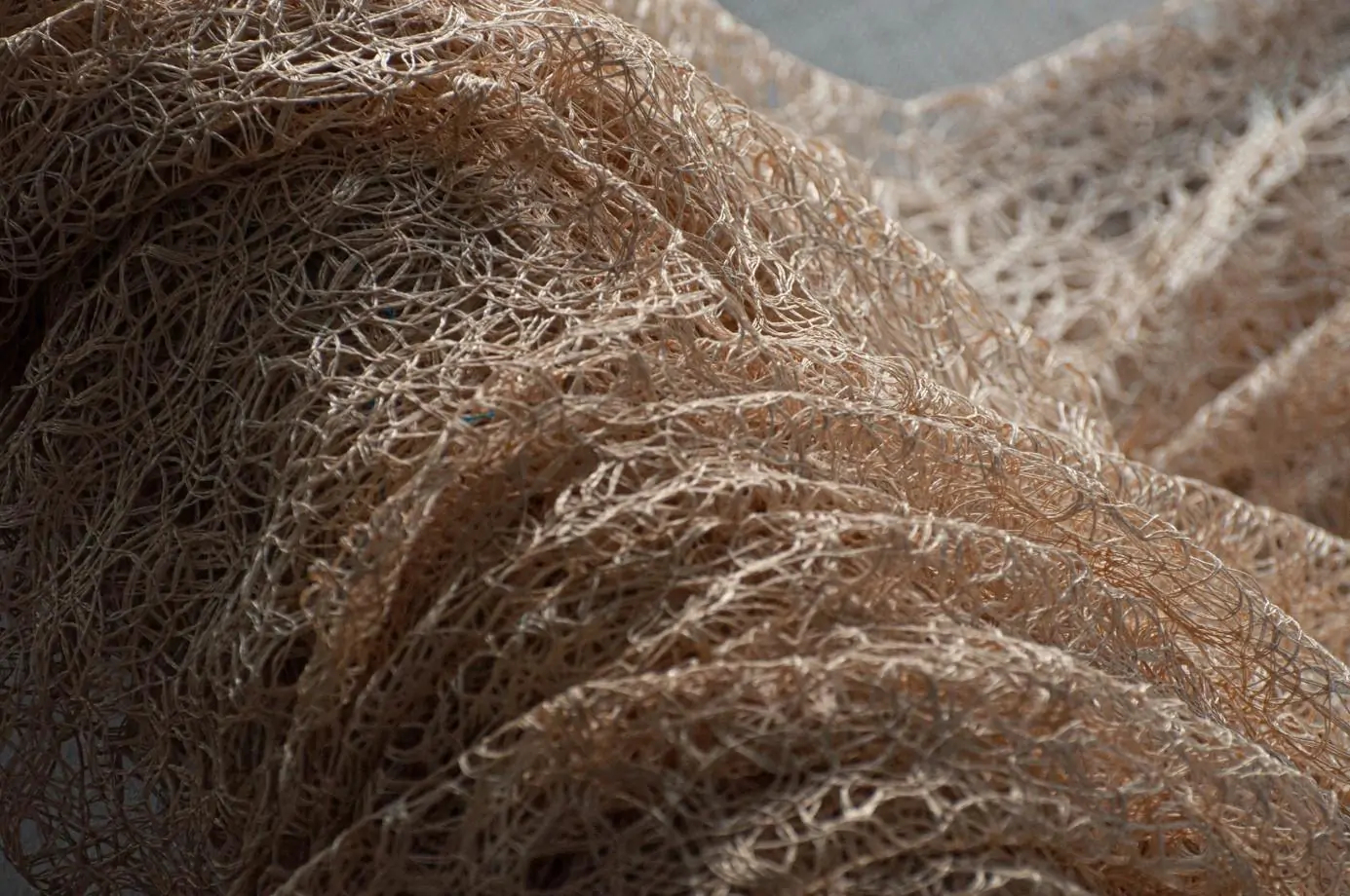 Vanilla 16 | Bosede