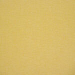 Popcorn | Jacquard Woven (Yarn Dyed)