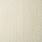 Birch | Jacquard Woven (Yarn Dyed)