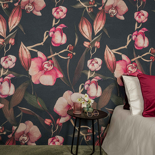 Expressive | Orchidee