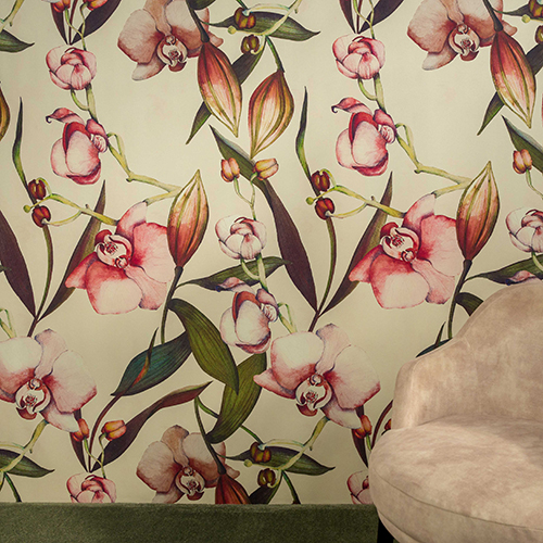 Soft | Orchidee