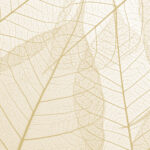 C1 | Jacquard Woven (Digital Print)