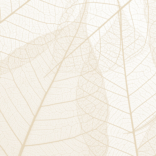 C1V2 | Leaves