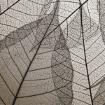C1V5 | Jacquard Woven (Digital Print)