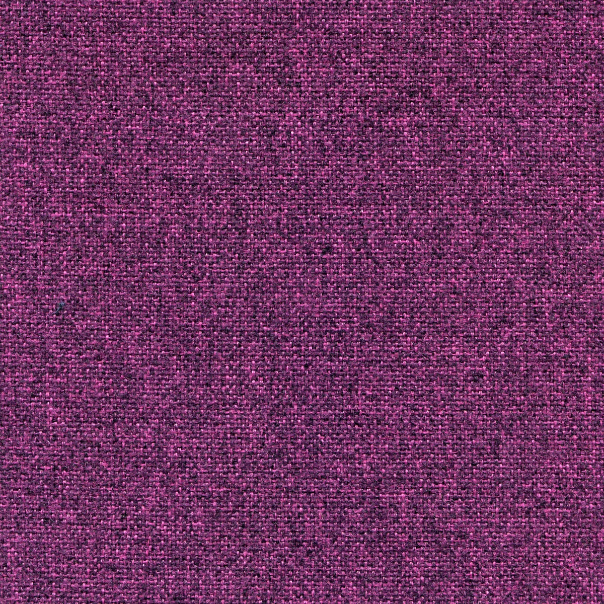 1156 | Nemi Melange