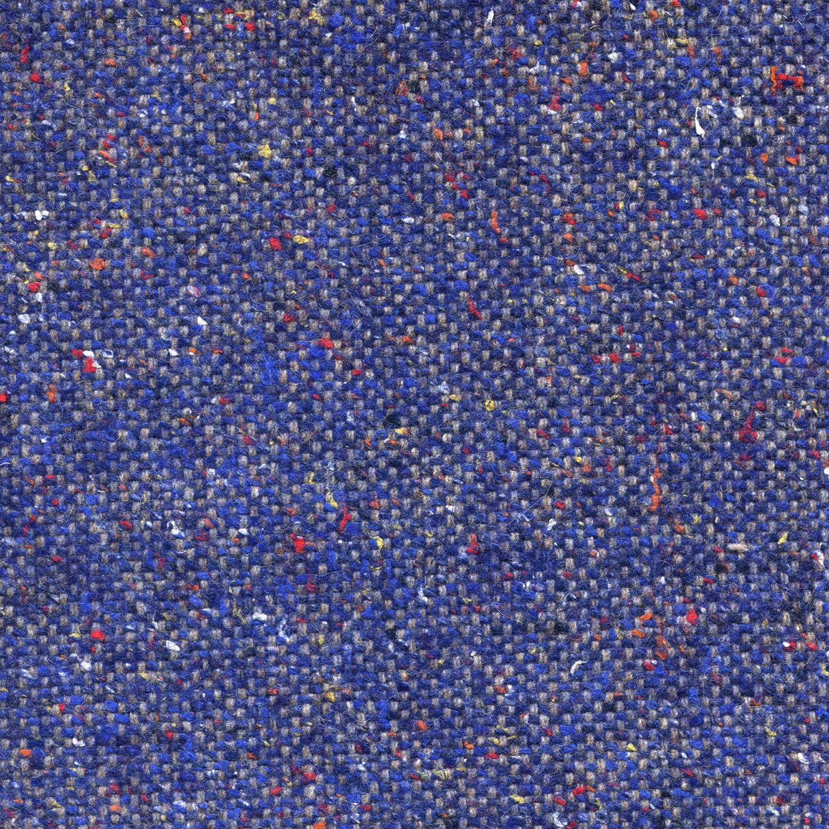 14301 | Tiger