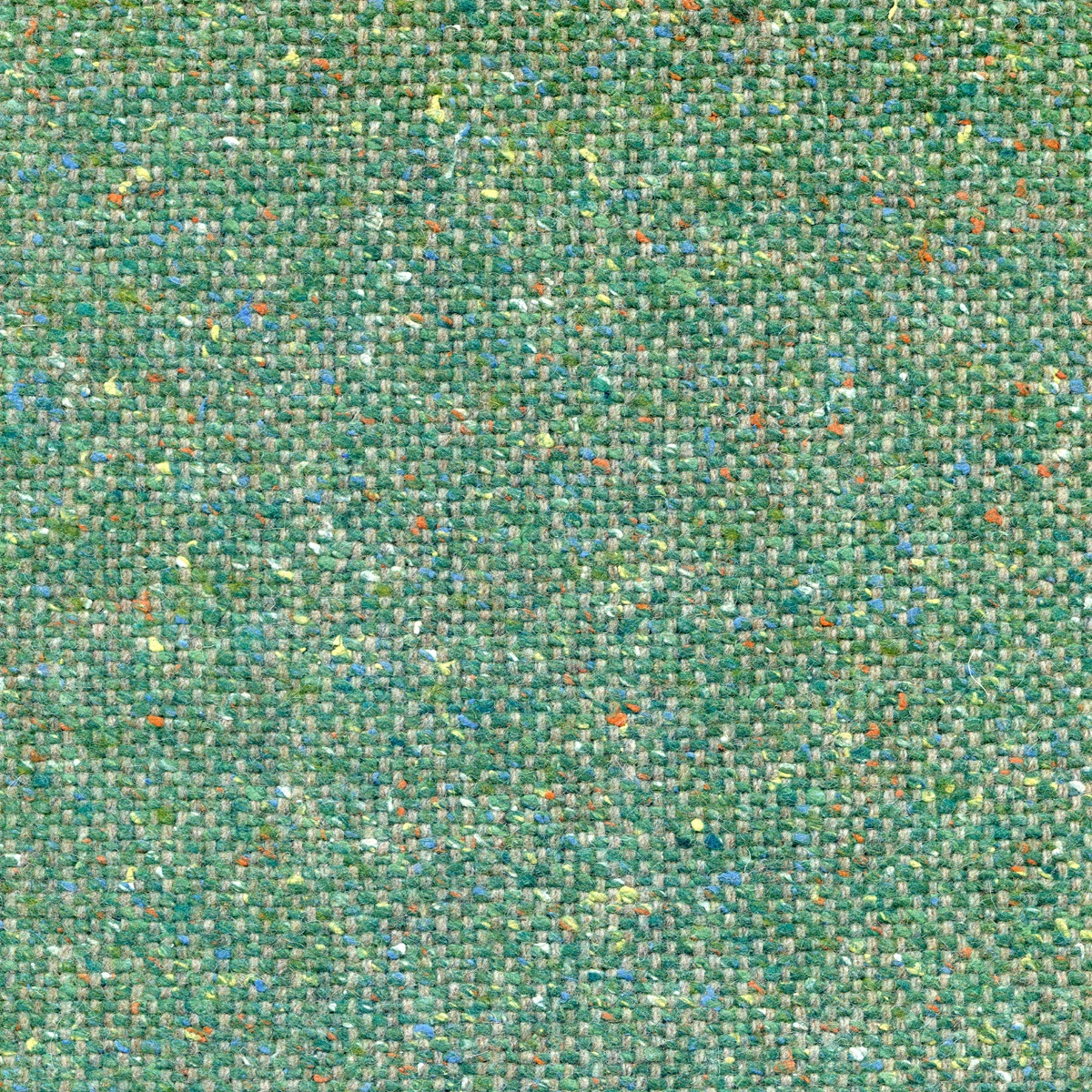 14452 | Tiger