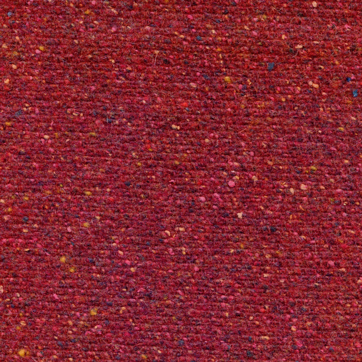 201 | Bisnetium