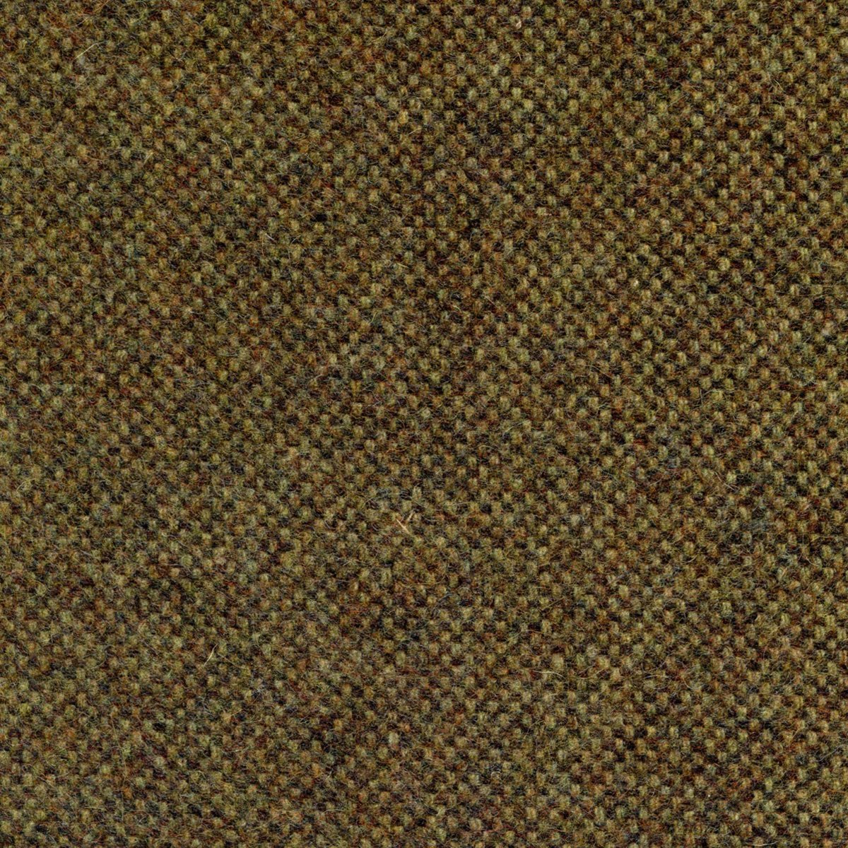 2459