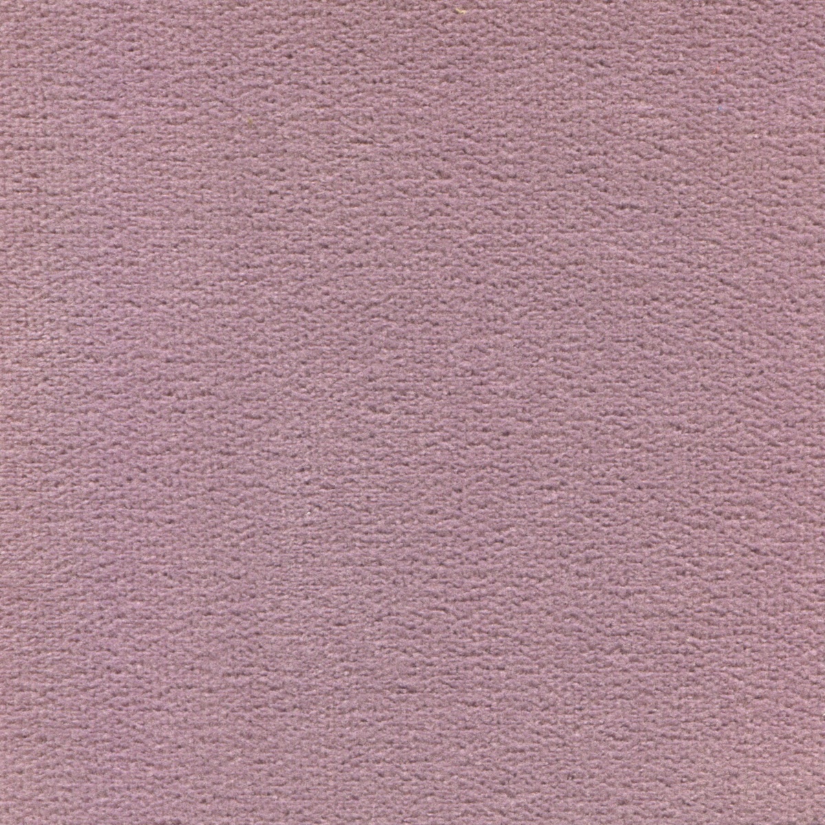 254 | Elba S