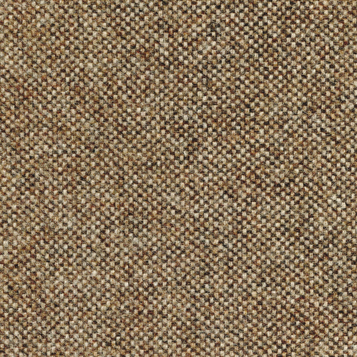 2554 | Fenice Stuoia