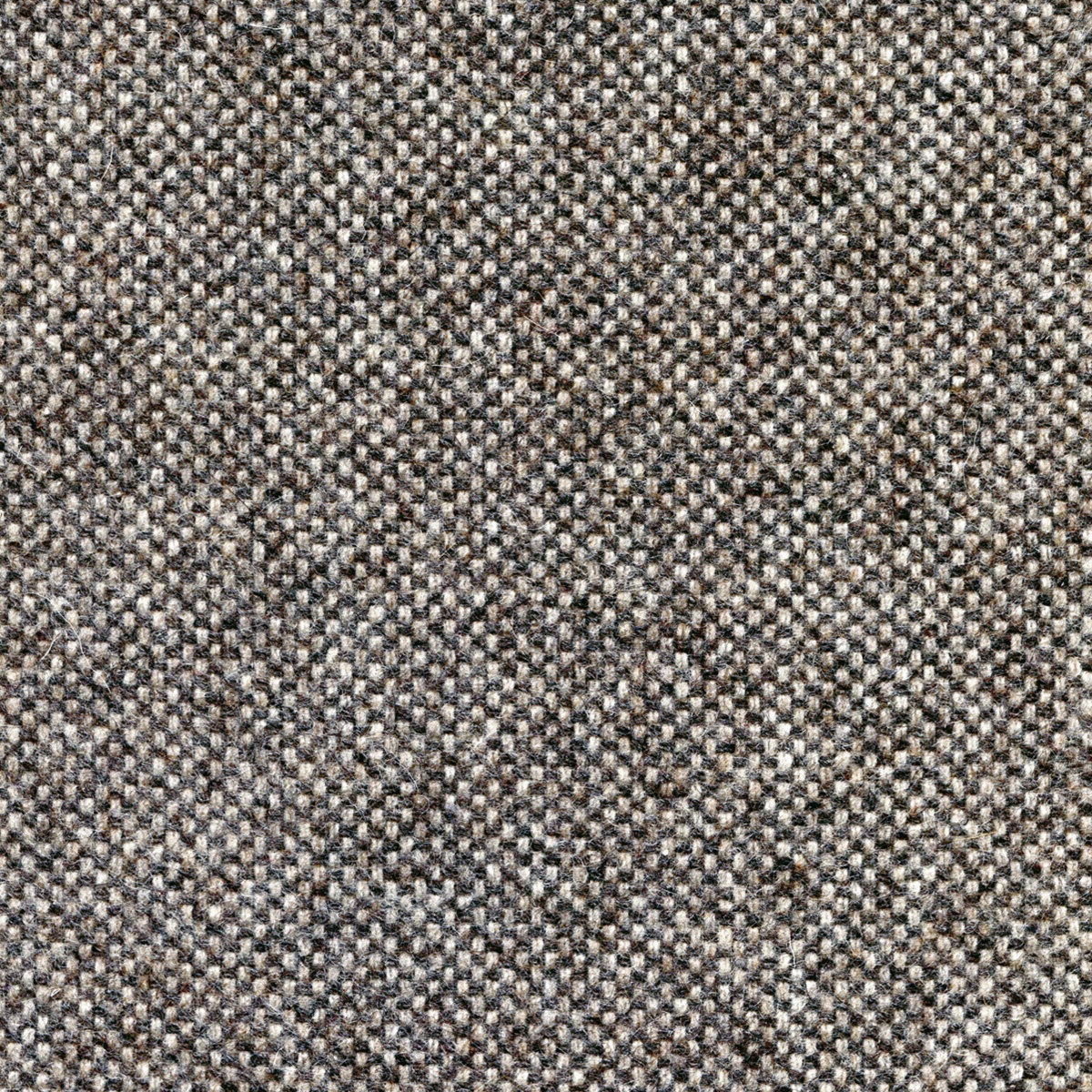 2555 | Fenice Stuoia