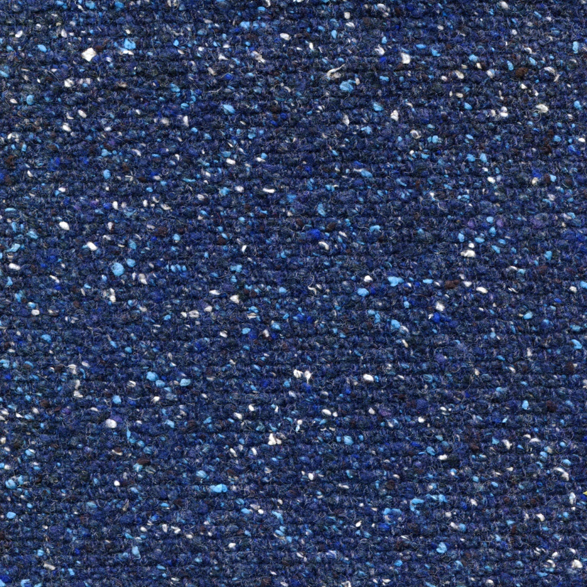 302 | Bisnetium