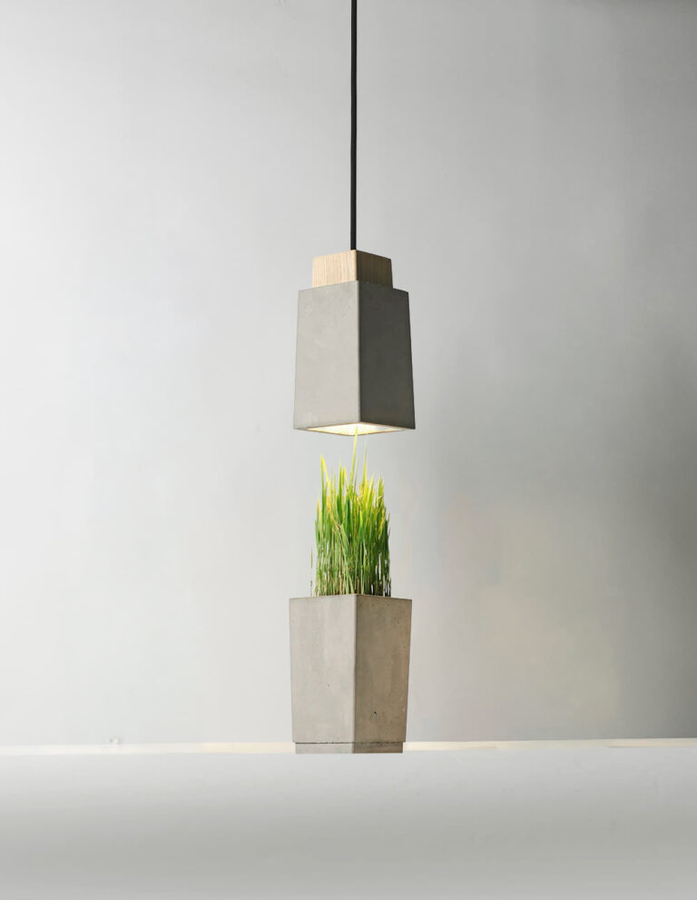 Plant Pot 4