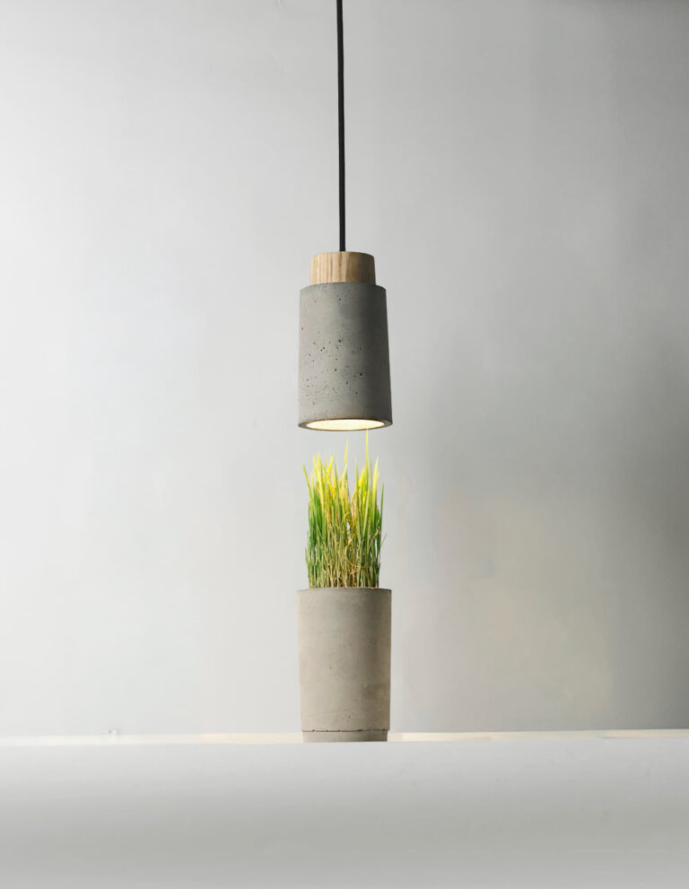 Plant Pot 0