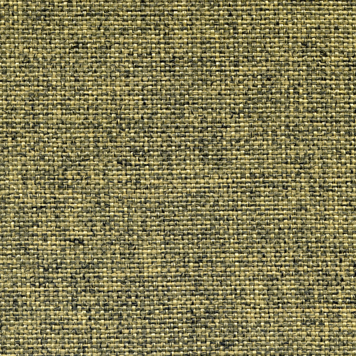 3066