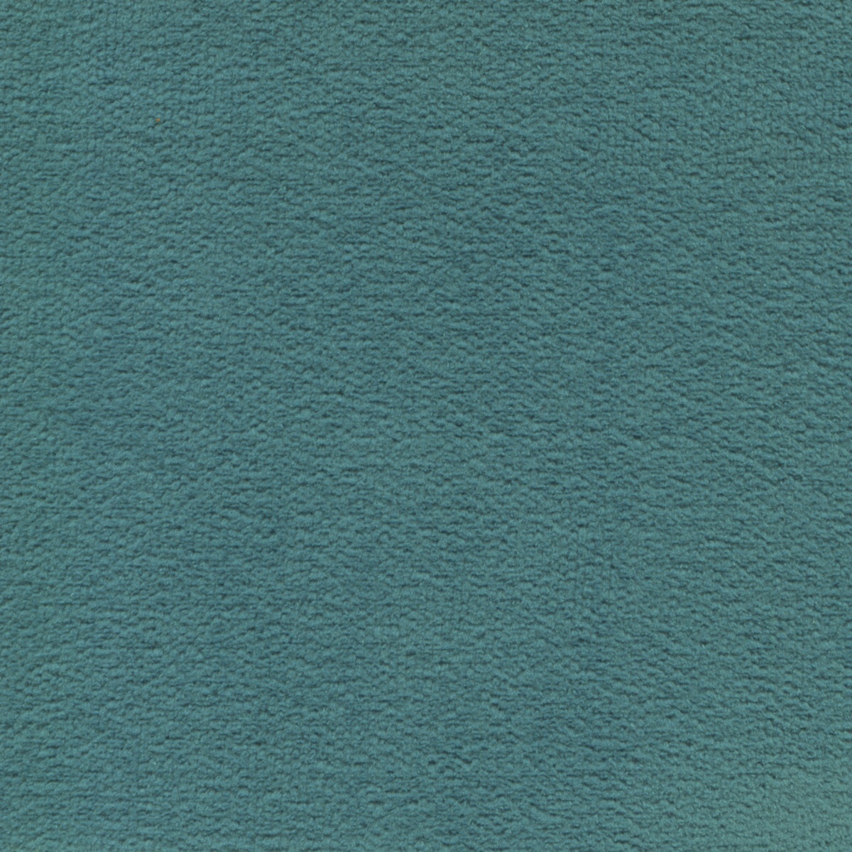 366 | Elba S