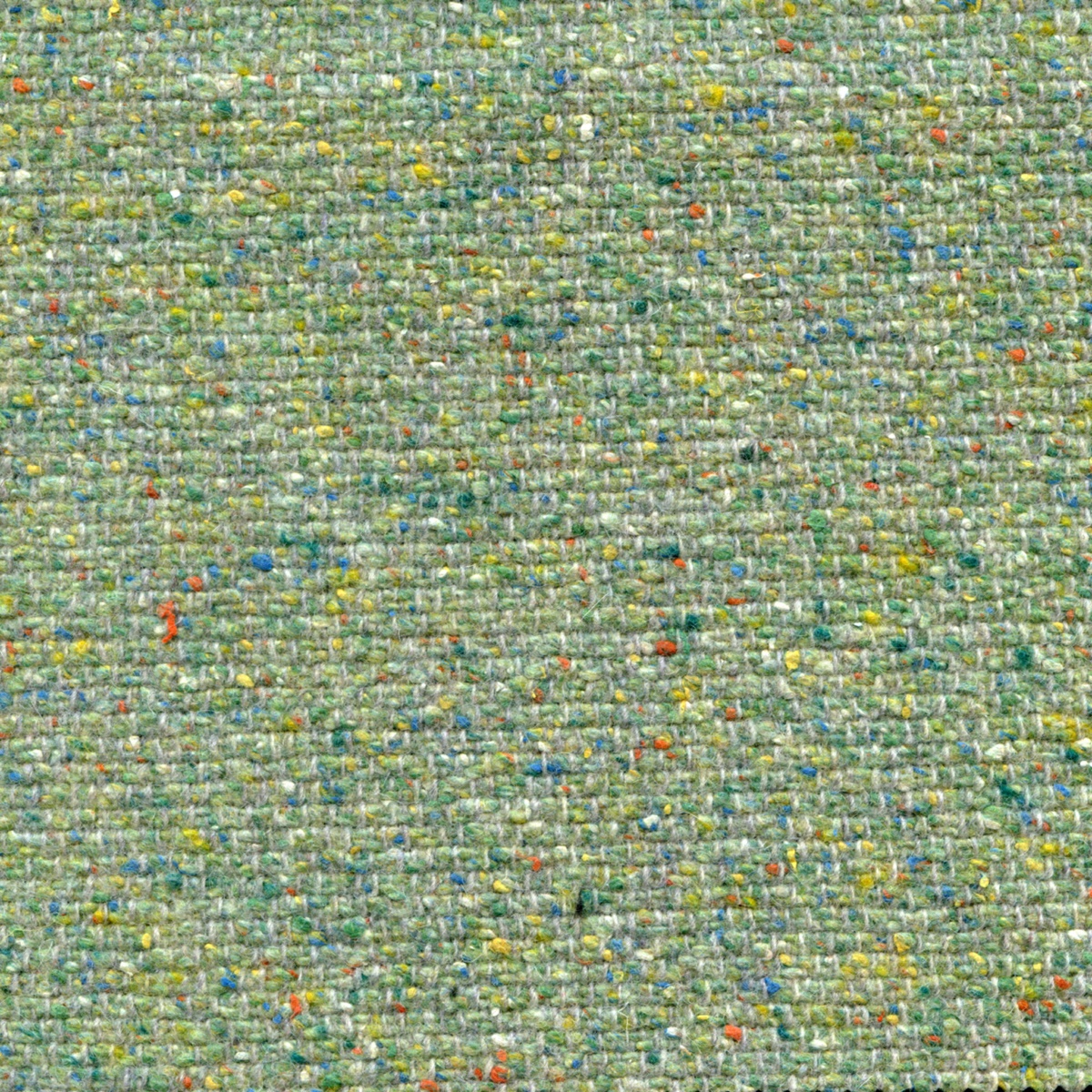451 | Bisnetium