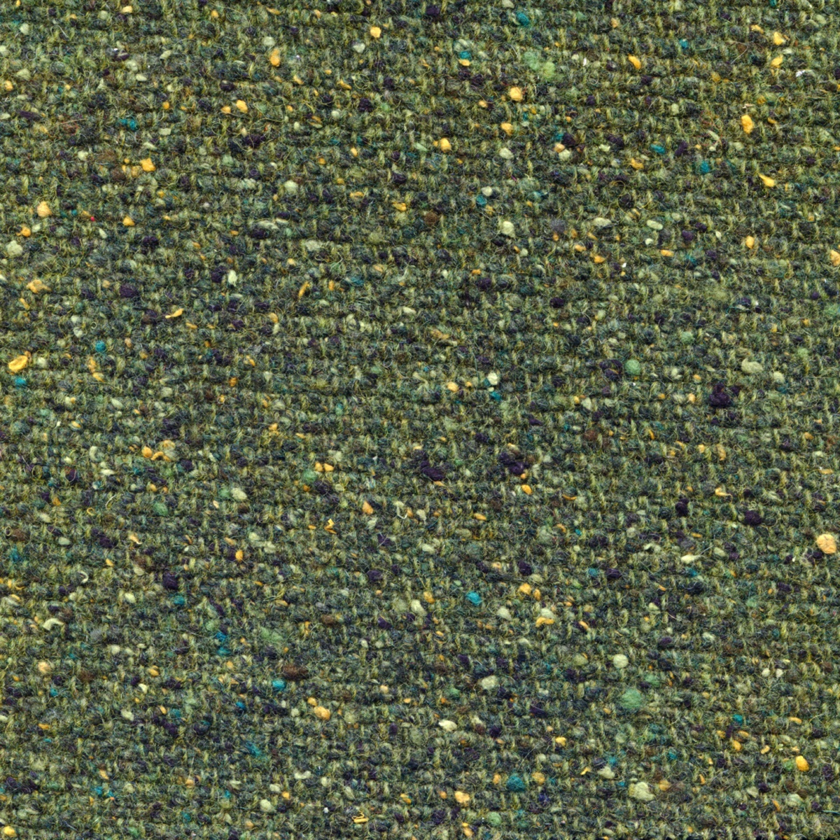 453 | Bisnetium