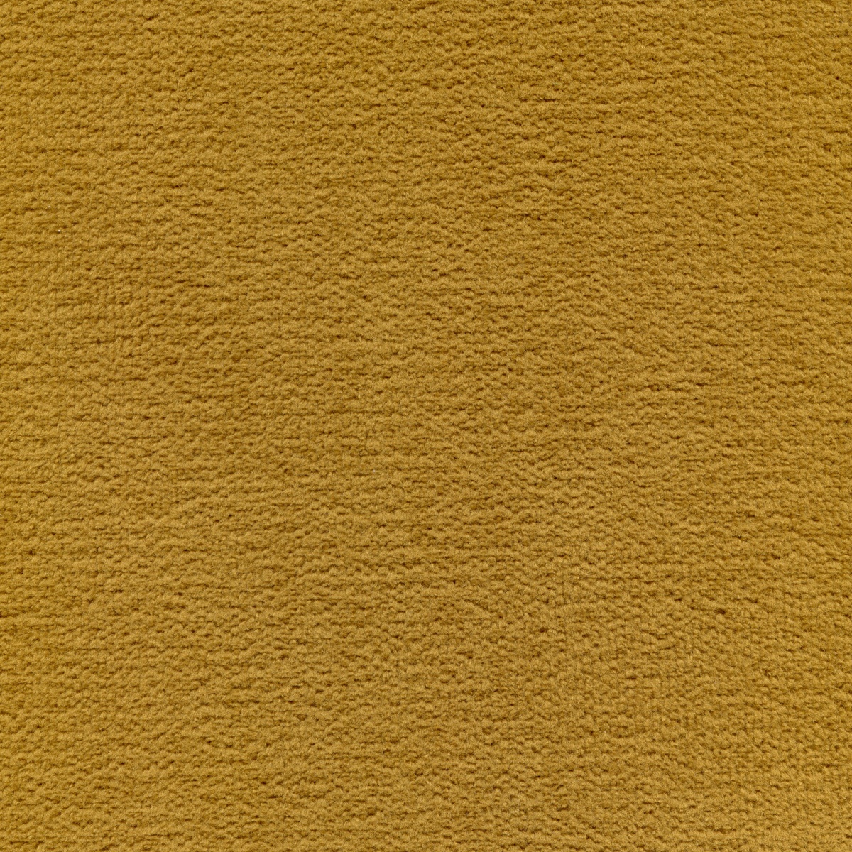 492 | Elba S