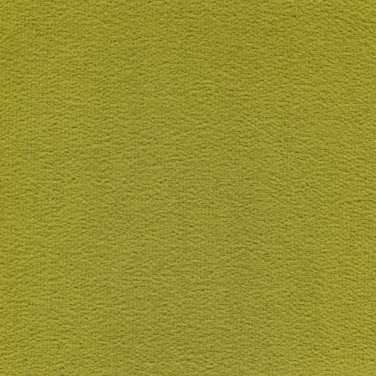 493 | Elba S