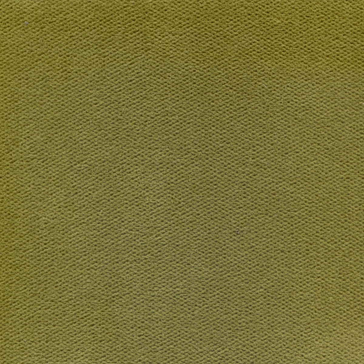 494 | Elba S