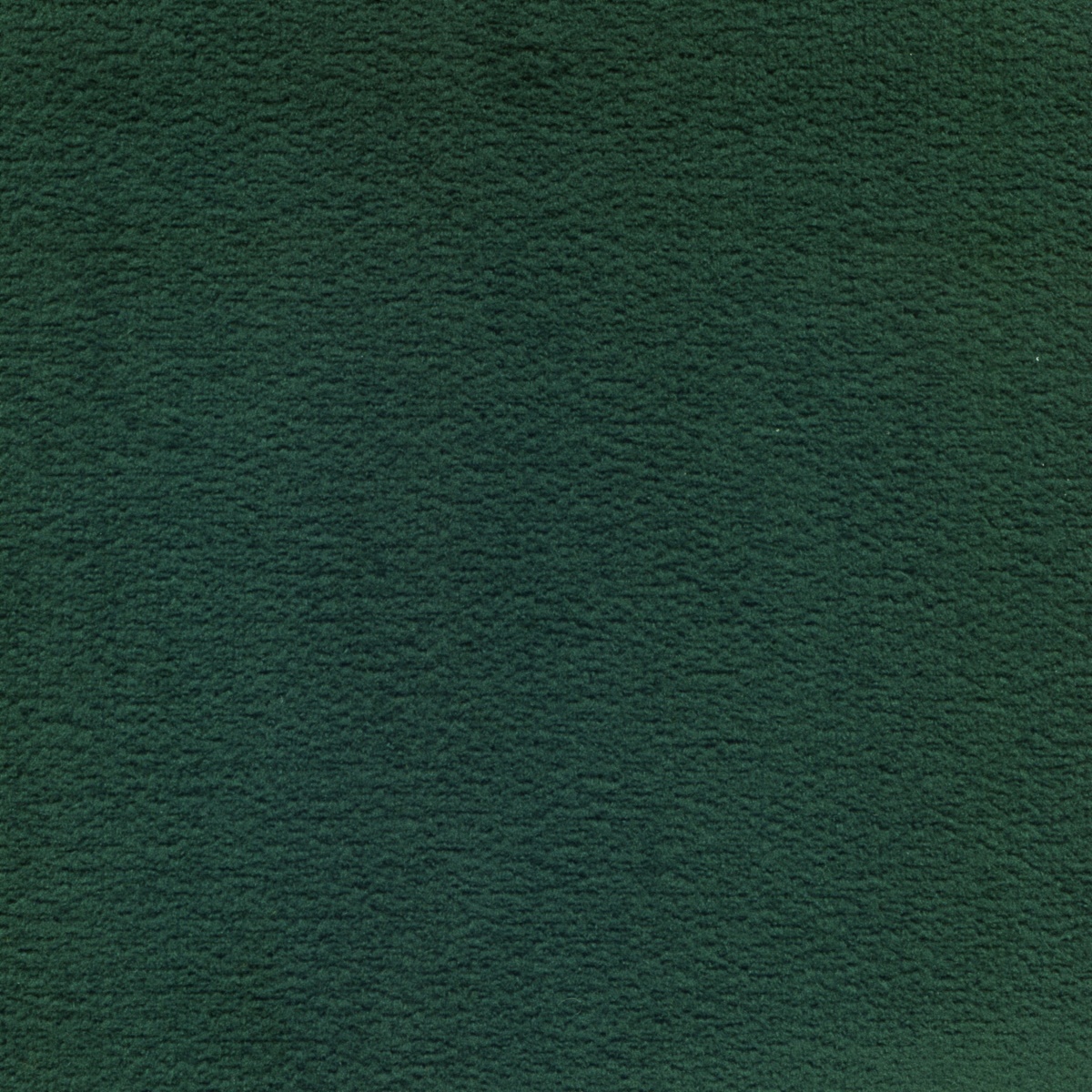 496 | Elba S