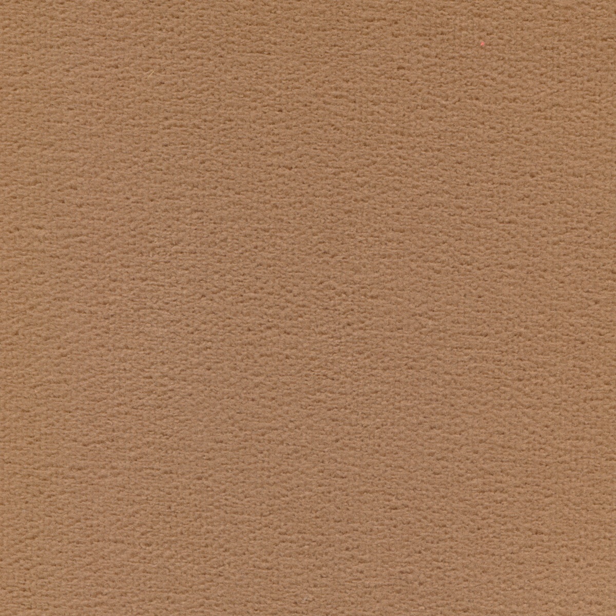 522 | Elba S