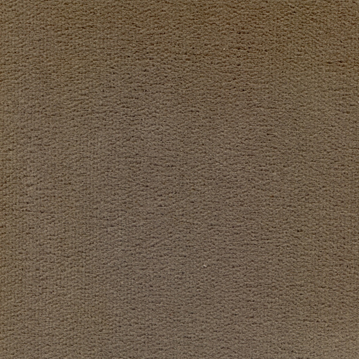 524 | Elba S