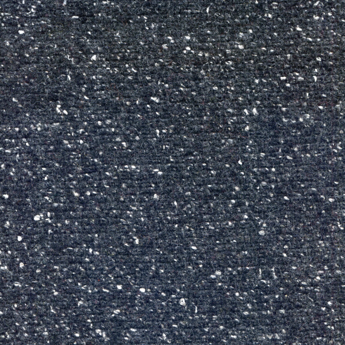603 | Bisnetium