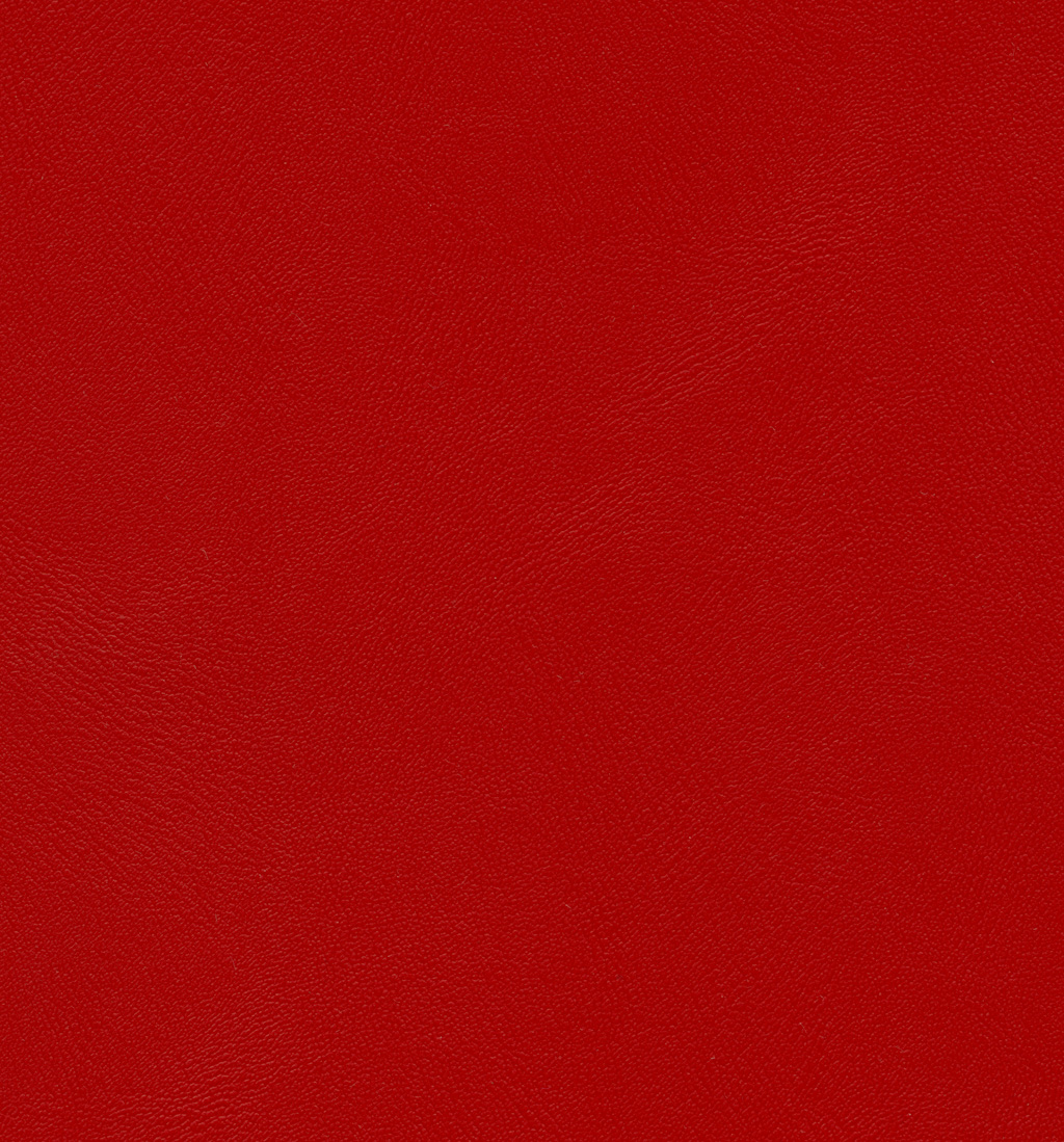 Coquelicot | Comete