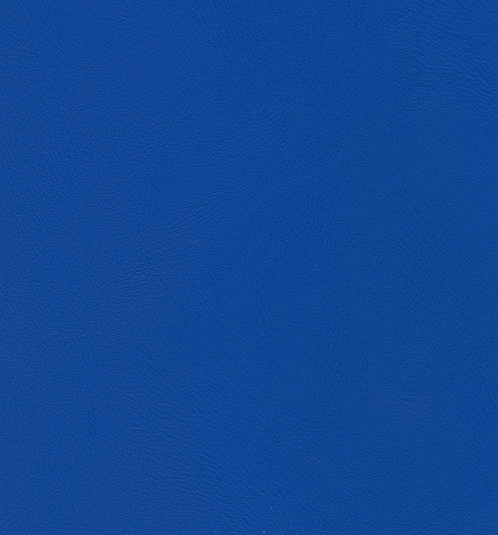 Bleuet | Comete
