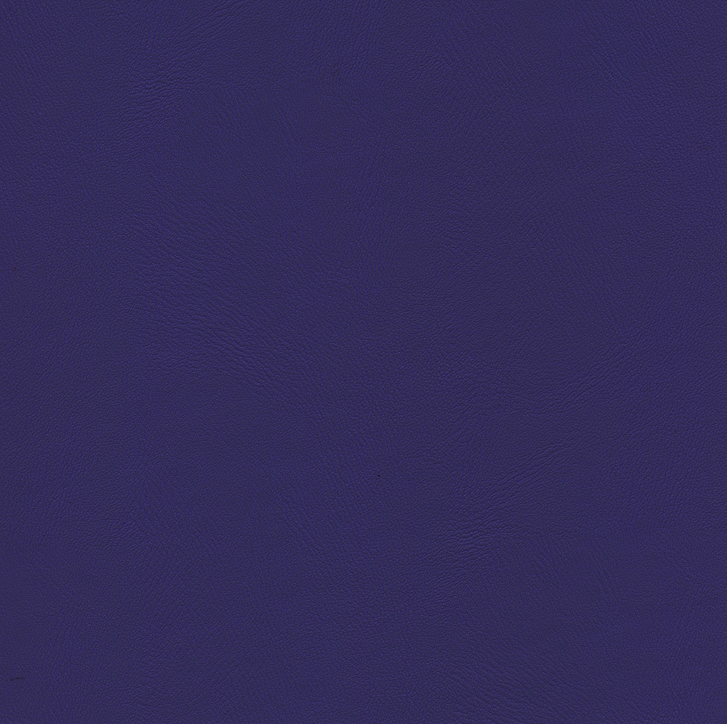 Iris | Comete