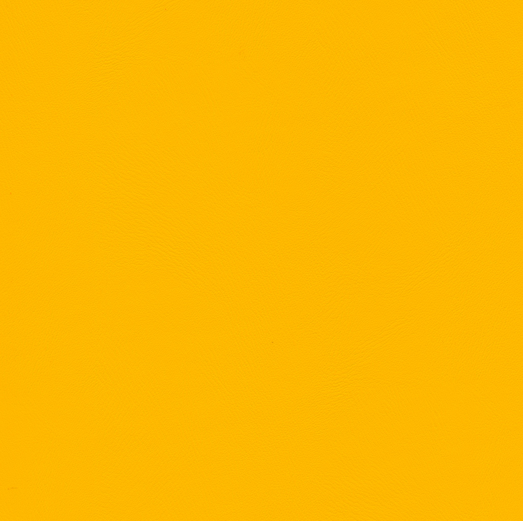Narcisse | Comete