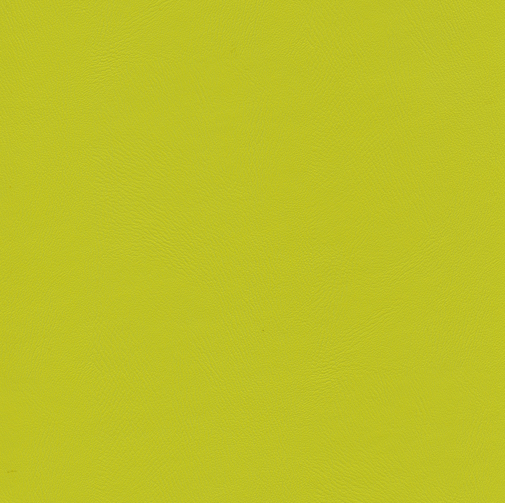Kiwi | Comete