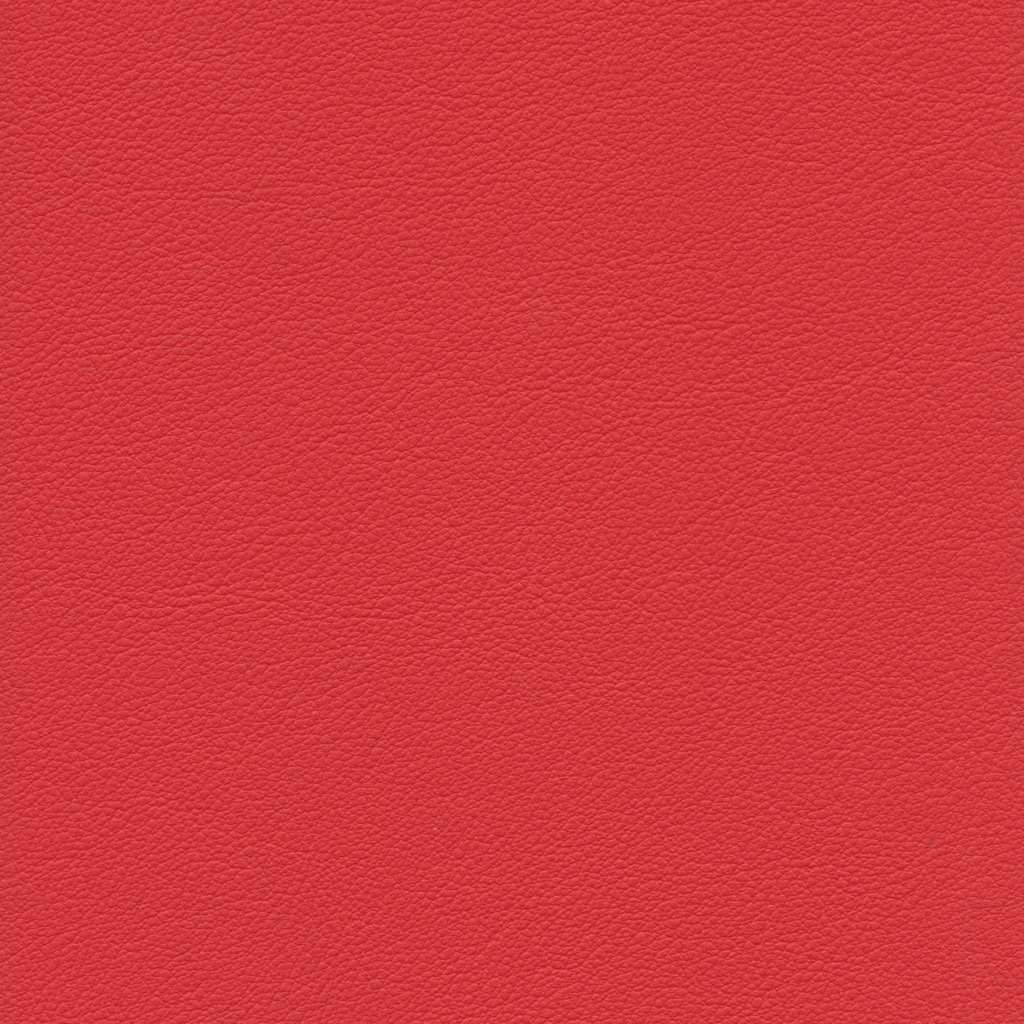 Corail | Esprit