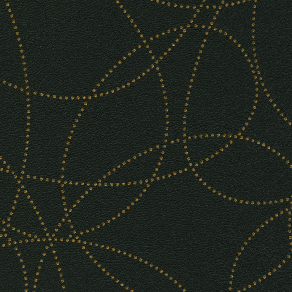 Graphite OR | Esprit Dotty