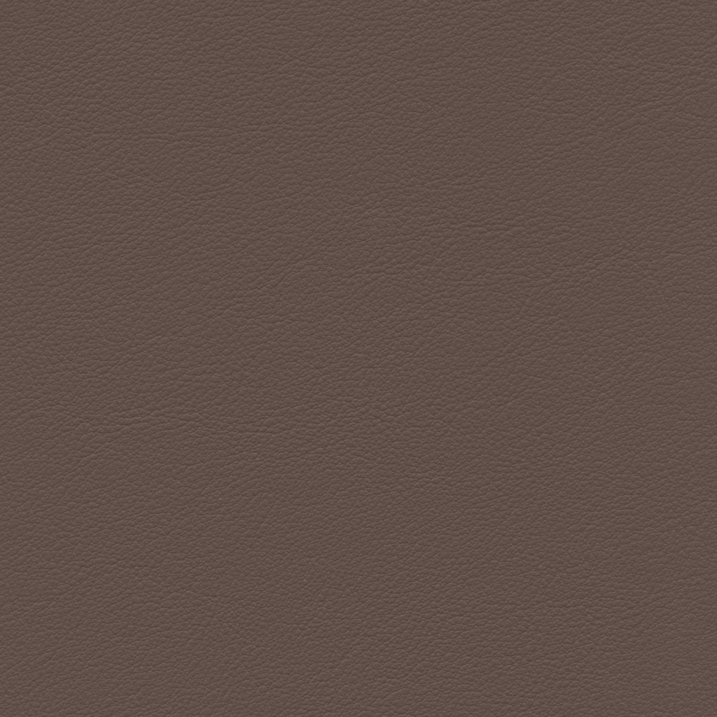 Noisette | Esprit
