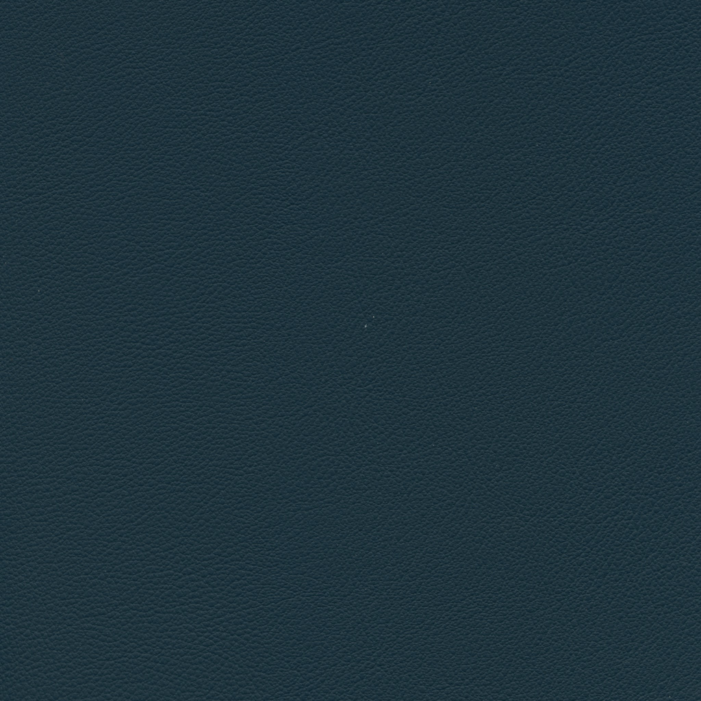 Navy | Esprit