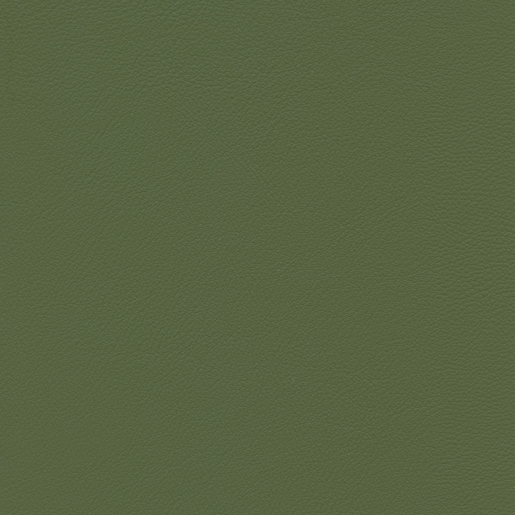 Végétal | Esprit