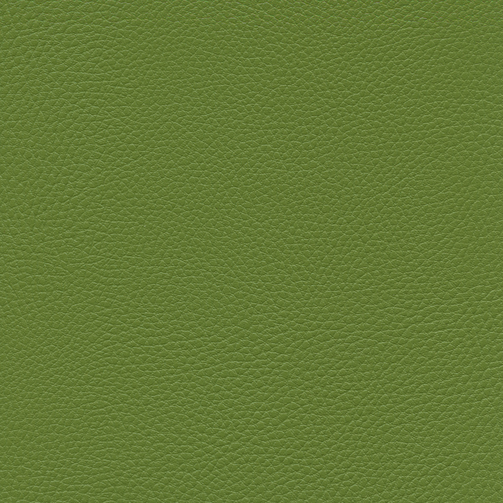 Amande | Ginkgo