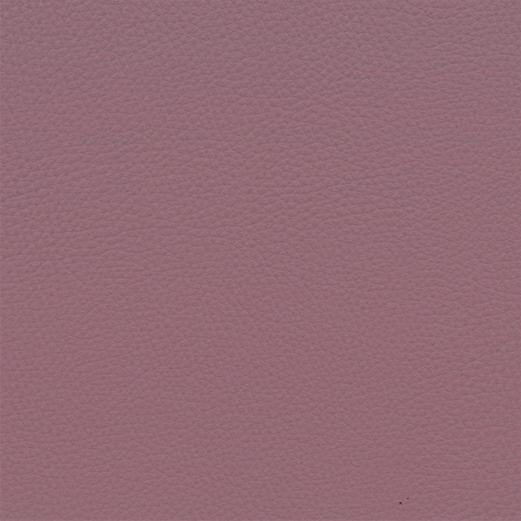 Bois De Rose | Ginkgo