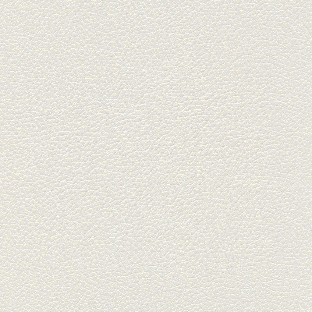 Blanc | Ginkgo