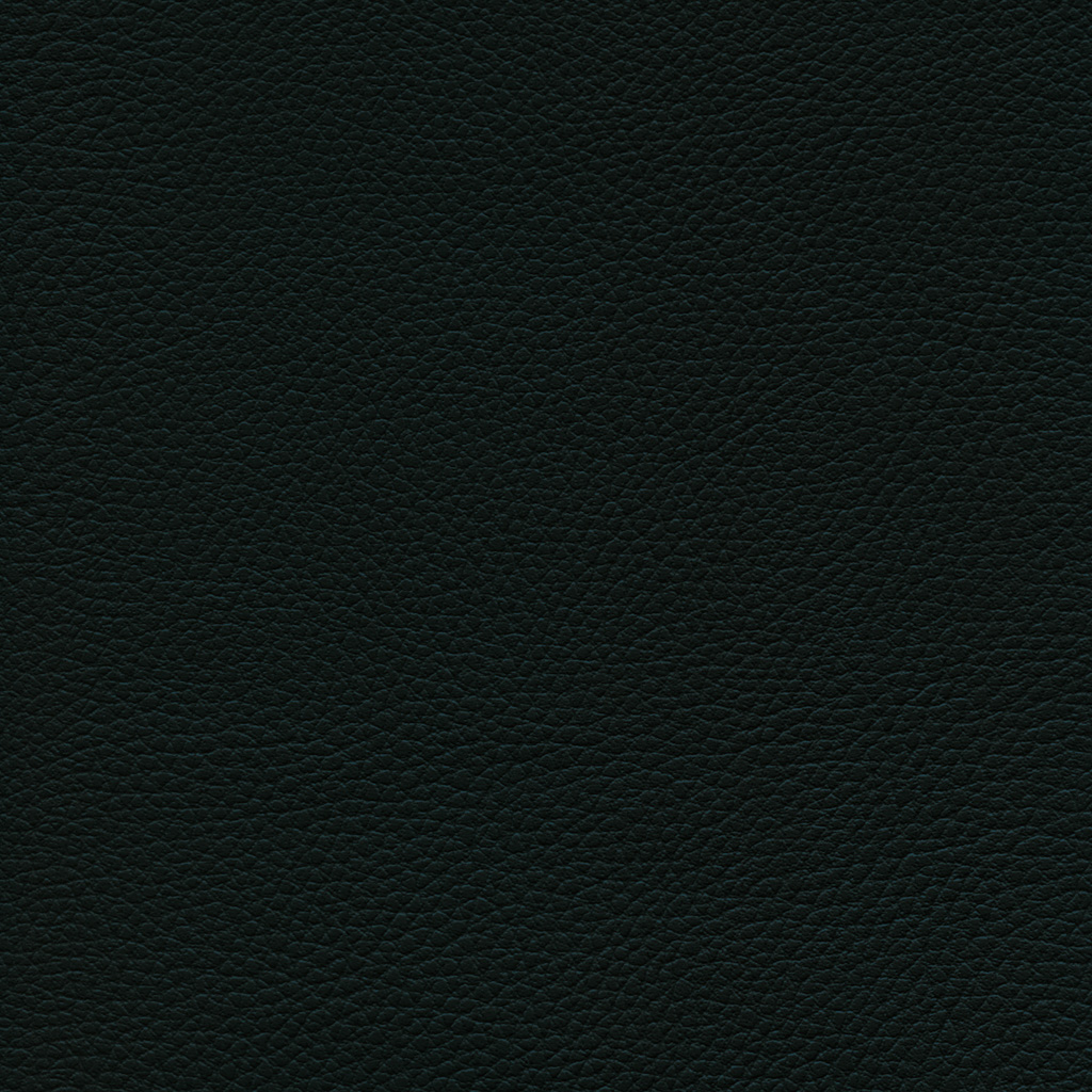 Anthracite | Ginkgo