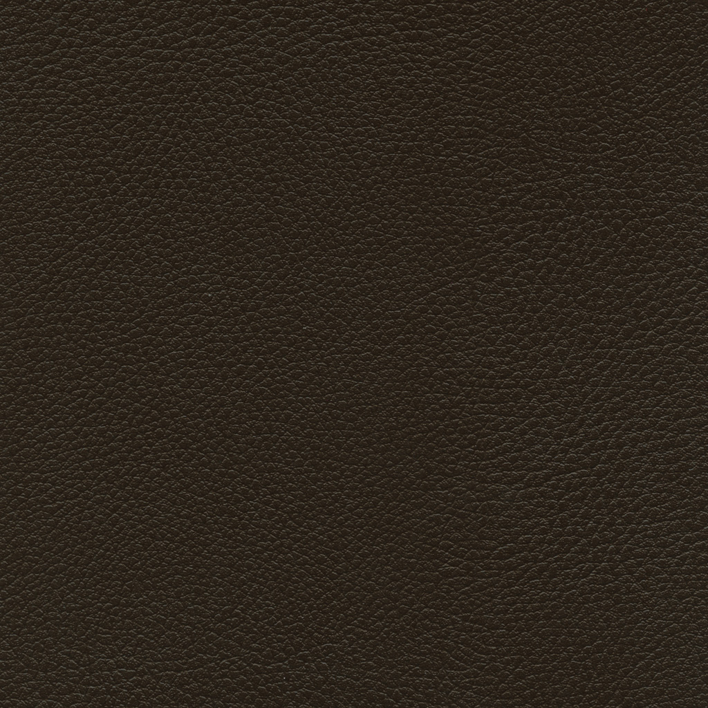 Chocolat | Ginkgo