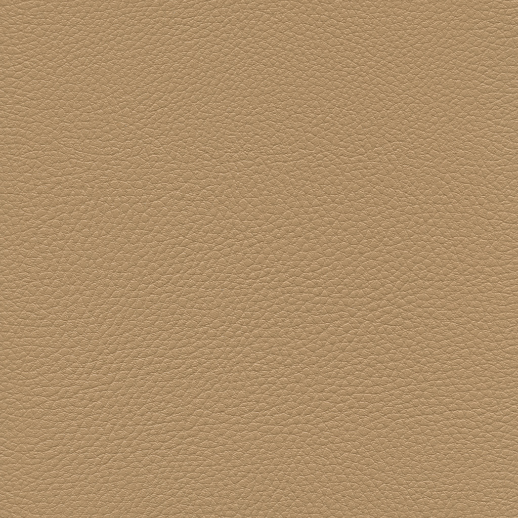 Dune | Ginkgo
