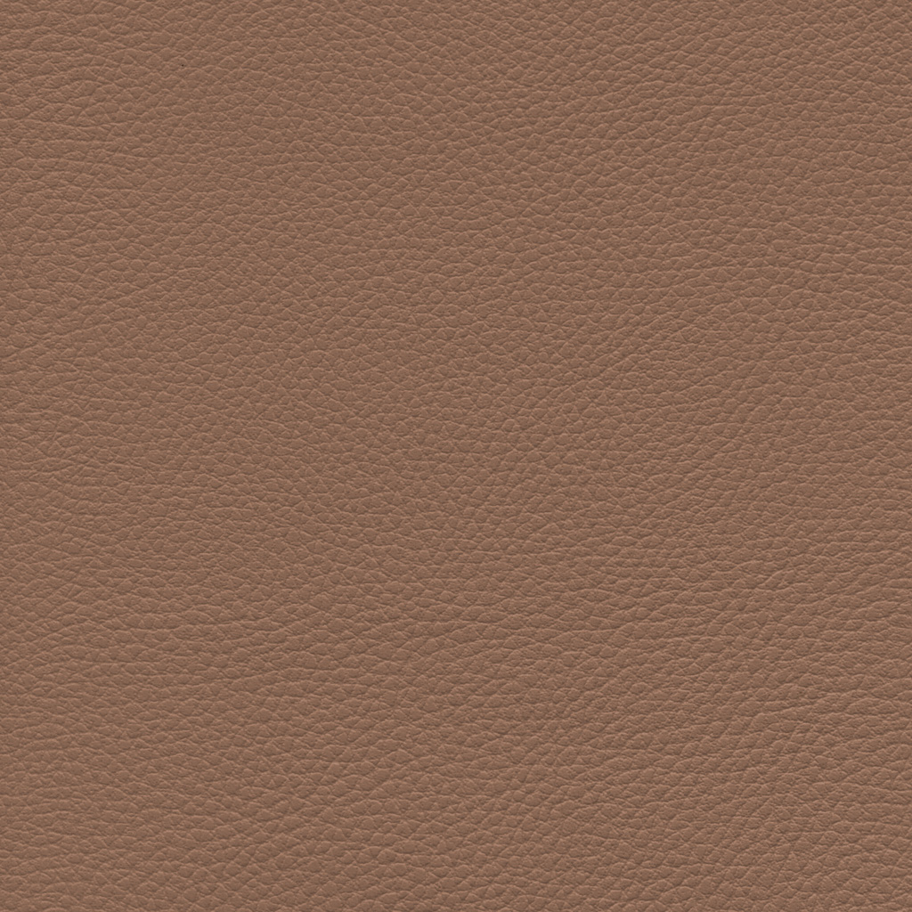 Capuccino | Ginkgo